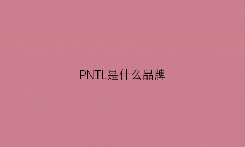 PNTL是什么品牌