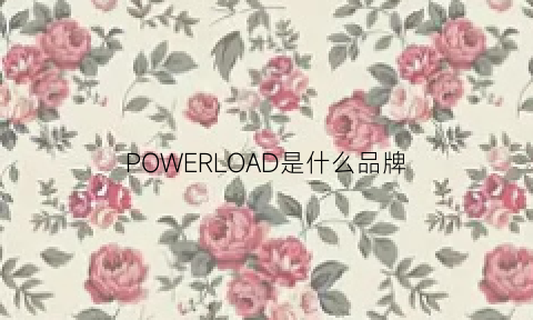 POWERLOAD是什么品牌(power是品牌吗)