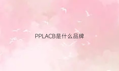 PPLACB是什么品牌