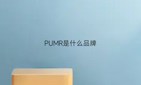 PUMR是什么品牌(pumb是什么牌子)