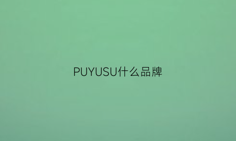 PUYUSU什么品牌(puwuos是什么牌子)