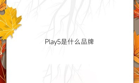 Play5是什么品牌