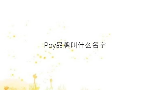 Poy品牌叫什么名字(po的品牌)