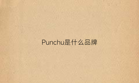 Punchu是什么品牌