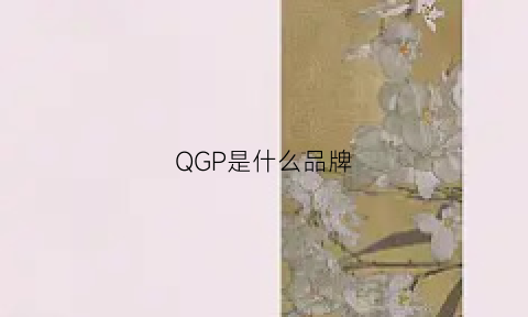 QGP是什么品牌(qgsg叫什么品牌)