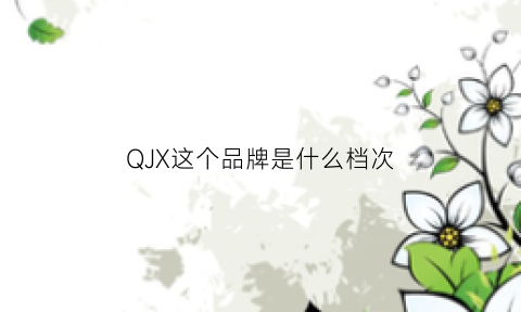 QJX这个品牌是什么档次