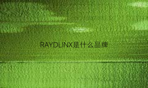 RAYDLINX是什么品牌(rayellul是什么品牌)