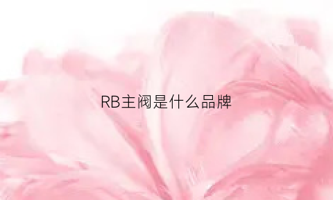 RB主阀是什么品牌