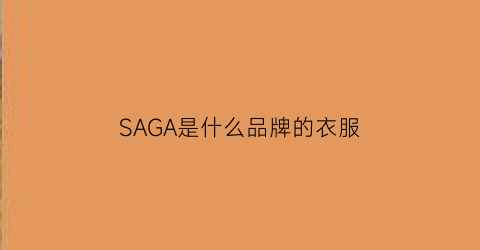 SAGA是什么品牌的衣服(sala是什么牌子的衣服)