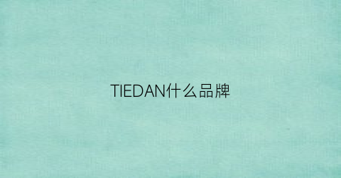 TIEDAN什么品牌(titi什么牌子)