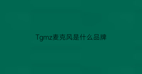 Tgmz麦克风是什么品牌