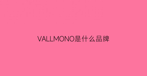 VALLMONO是什么品牌(valen是什么牌子)