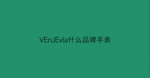 VEnJEvla什么品牌手表(venice是什么品牌手表)