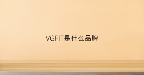 VGFIT是什么品牌