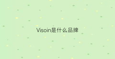 Visoin是什么品牌(viciousvenom是什么牌子)