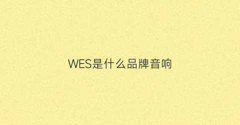 WES是什么品牌音响(vis是什么音响牌子)