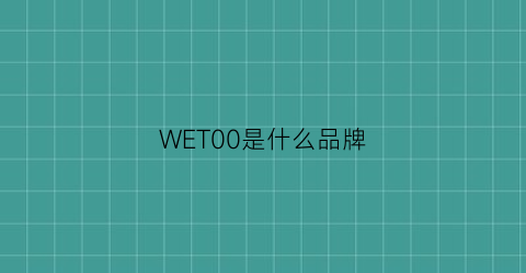 WET00是什么品牌
