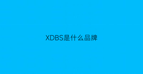 XDBS是什么品牌(xdye是什么品牌)