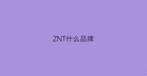 ZNT什么品牌(znzuk是什么牌子)