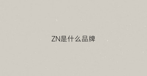 ZN是什么品牌(zn是什么品牌包包的标志)