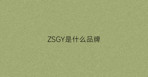 ZSGY是什么品牌(zdqy是什么品牌)