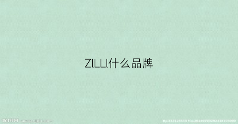 ZlLLl什么品牌(lzl是什么品牌)