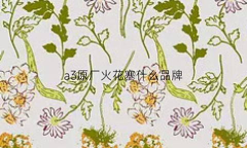 a3原厂火花塞什么品牌(奥迪a3火花塞换博士还是ngk)