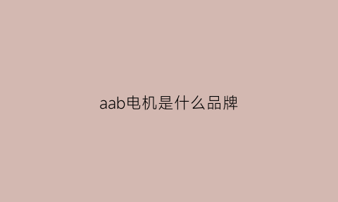 aab电机是什么品牌(ab电机型号)