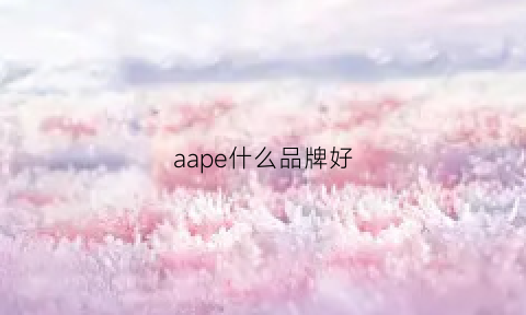 aape什么品牌好(aape什么档次)