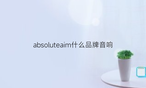 absoluteaim什么品牌音响(as音响是什么牌子)