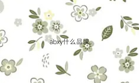 abxy什么品牌(abx牌子怎么样)