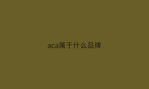 aca属于什么品牌(aca是哪里的品牌)