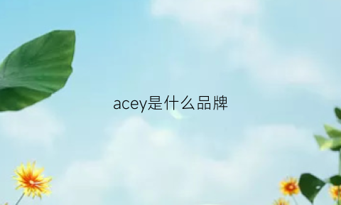 acey是什么品牌(aceykyb是什么牌子)