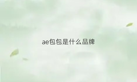 ae包包是什么品牌(aer包是什么品牌)