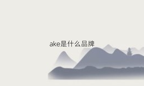 ake是什么品牌(dnake是什么品牌)