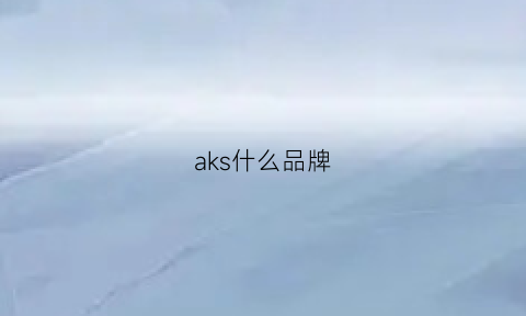 aks什么品牌(aksh是什么牌子)