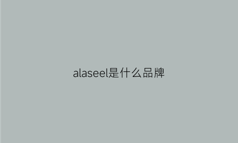 alaseel是什么品牌(ales是什么牌子)