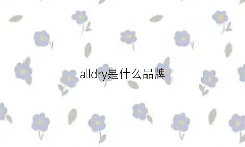 alldry是什么品牌(allyone是什么品牌)