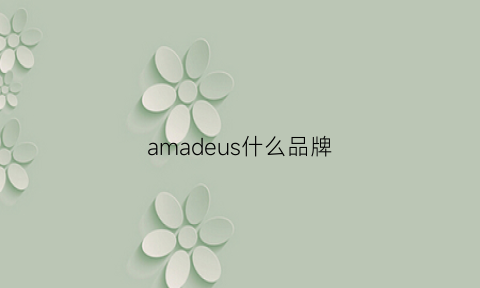 amadeus什么品牌