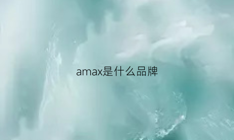 amax是什么品牌(dynamax是什么品牌)