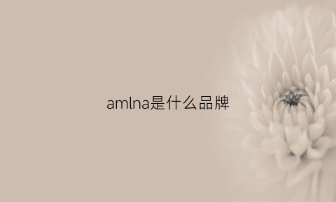 amlna是什么品牌(amaia是什么牌子)