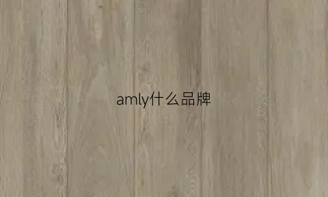 amly什么品牌(aml是什么牌子)