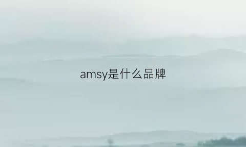 amsy是什么品牌(amisu是什么牌子)