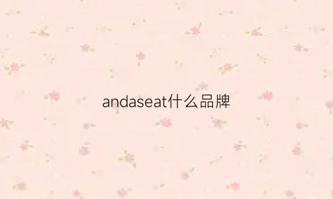 andaseat什么品牌(andany是什么牌子)