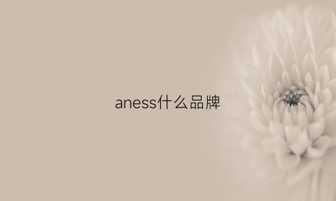 aness什么品牌(anes什么牌子)