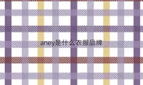 aney是什么衣服品牌(anyspoor什么牌子衣服)