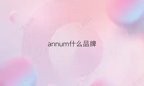 annum什么品牌(annynord什么牌子)