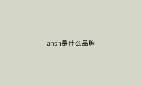 ansn是什么品牌(angn是什么品牌)