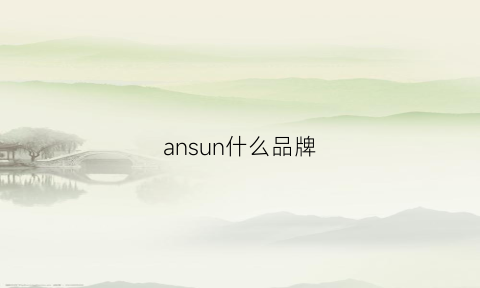 ansun什么品牌(anhsin什么牌子)