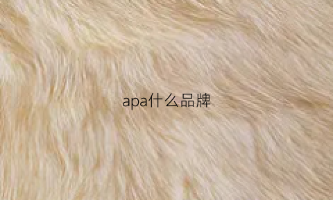 apa什么品牌(apana是什么品牌)